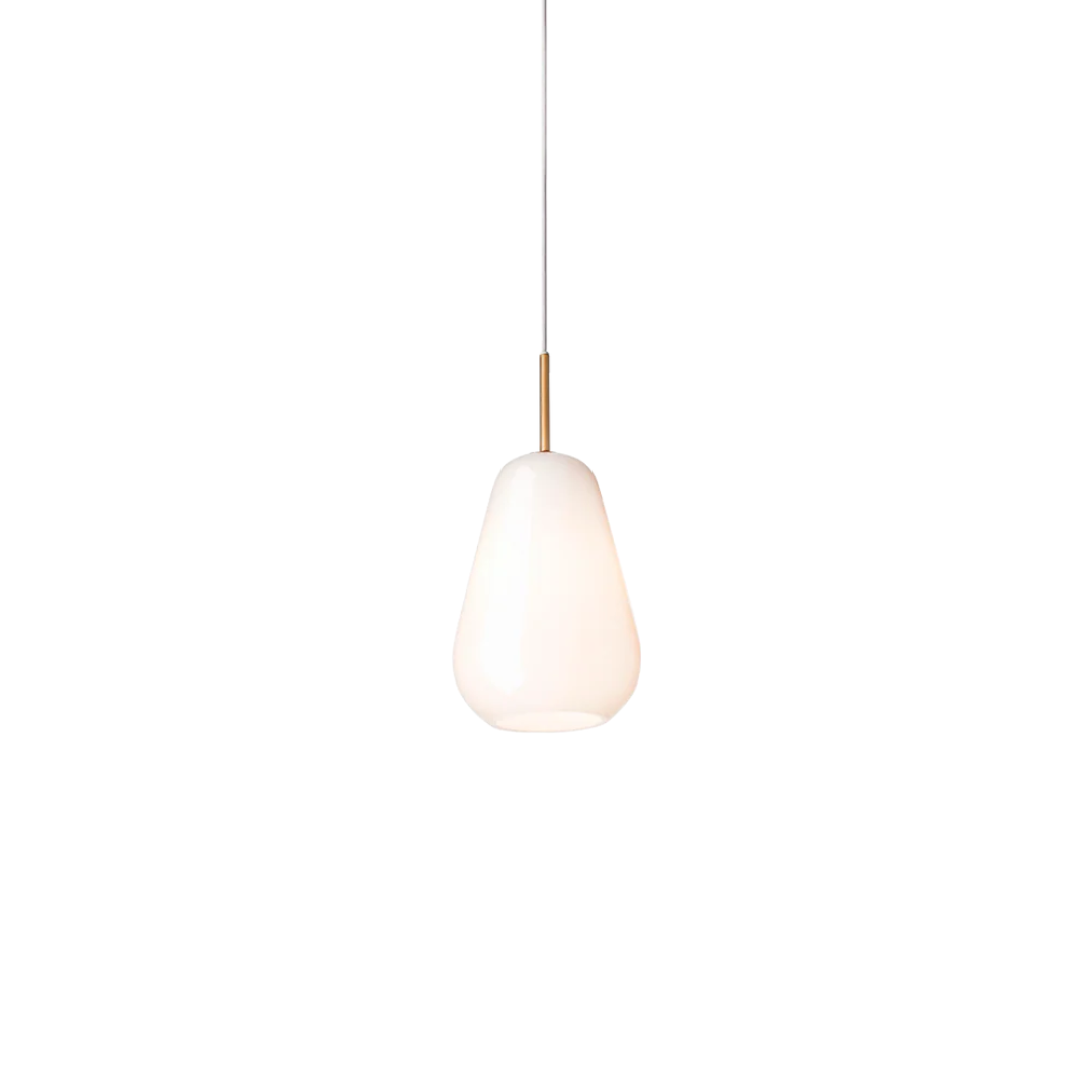 Anoli 1 Small